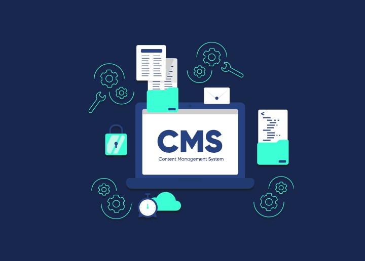 CMS Development